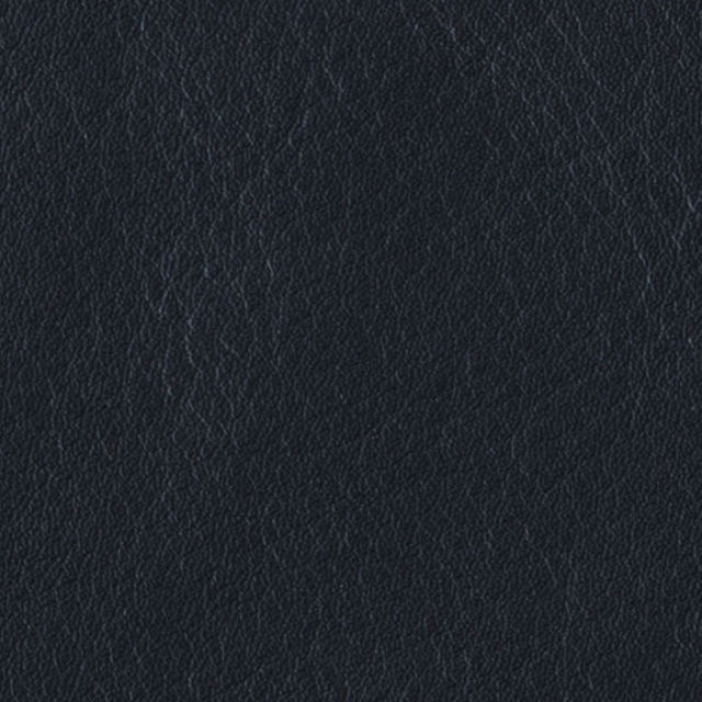 SN08(exclusive fabric)<