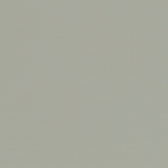 EGR(カラー塗装)